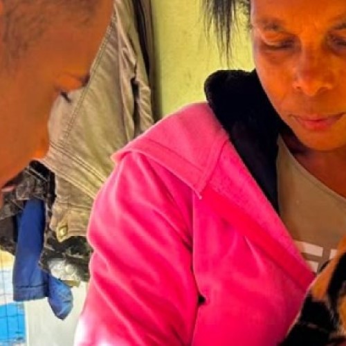 Barra do Piraí: Campanha de vacinação antirrábica chega a nove bairros neste sábado